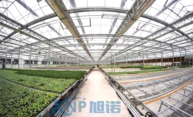 蔬菜温室大棚可以使用小黄片在线下载做骨架吗.jpg